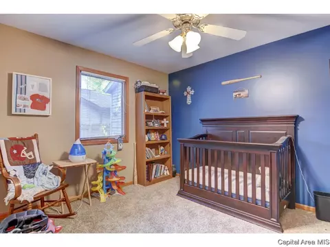 412 S Main St, Chatham, IL 62629 photo 24