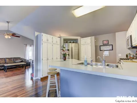 412 S Main St, Chatham, IL 62629 photo 11