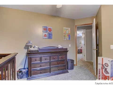 412 S Main St, Chatham, IL 62629 photo 23