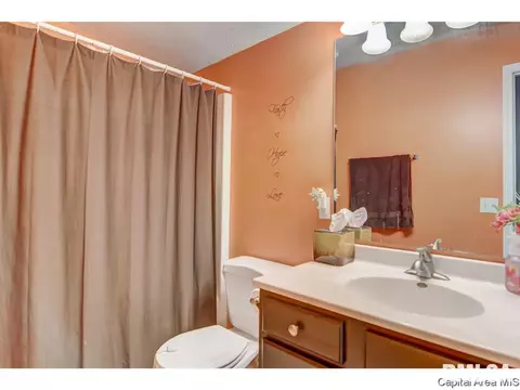 412 S Main St, Chatham, IL 62629 photo 26