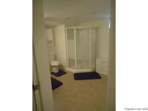 2257 Watch Ave, Springfield, IL 62702 photo 19