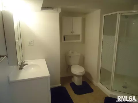 2257 Watch Ave, Springfield, IL 62702 photo 20