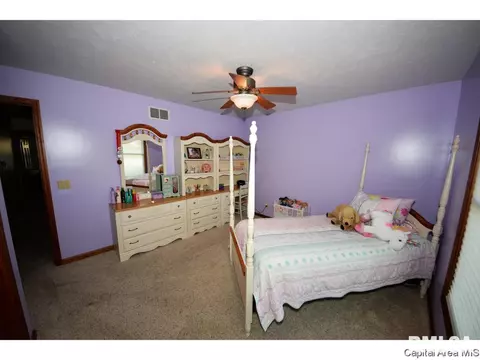 8317 Iron Horse Ln, Springfield, IL 62712 photo 10
