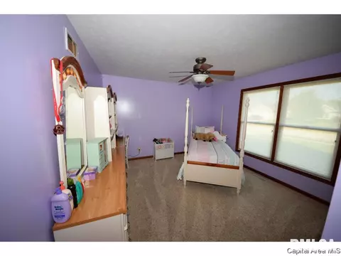 8317 Iron Horse Ln, Springfield, IL 62712 photo 9