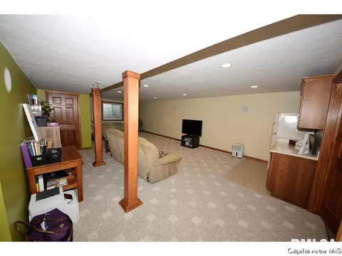 8317 Iron Horse Ln, Springfield, IL 62712 photo 20