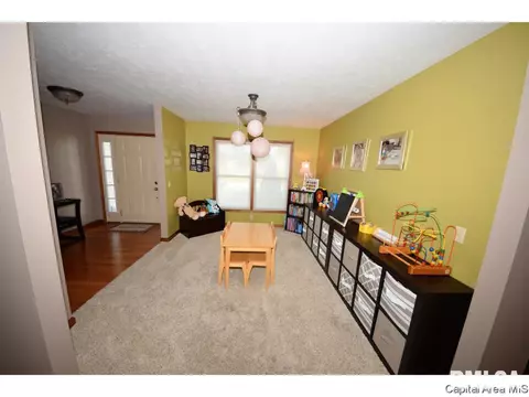8317 Iron Horse Ln, Springfield, IL 62712 photo 18