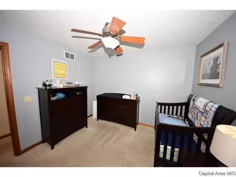 8317 Iron Horse Ln, Springfield, IL 62712 photo 13