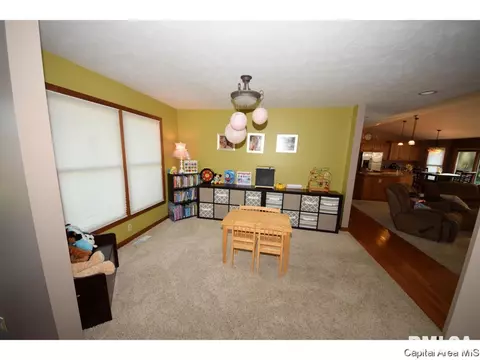 8317 Iron Horse Ln, Springfield, IL 62712 photo 17