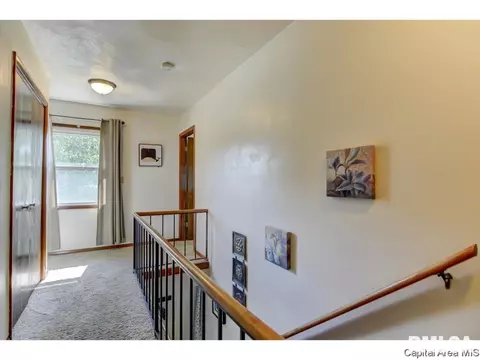 29 Ridgeview Dr, Springfield, IL 62711 photo 16
