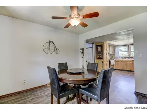 29 Ridgeview Dr, Springfield, IL 62711 photo 19
