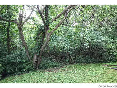 2012 Jeanette Ln #A, Springfield, IL 62702 photo 28