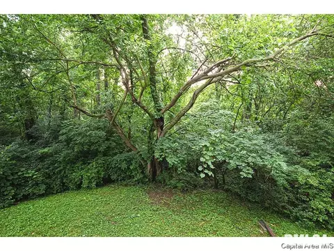 2012 Jeanette Ln #A, Springfield, IL 62702 photo 29