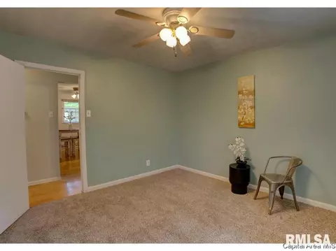77 Adloff Ln, Springfield, IL 62703 photo 14