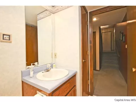 2724 Cheshire Rd, Springfield, IL 62703 photo 30