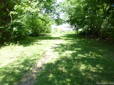 1609 E Moffat Ave, Springfield, IL 62702 photo 11