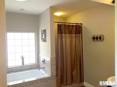 871 S Douglas, Springfield, IL 62704 photo 30