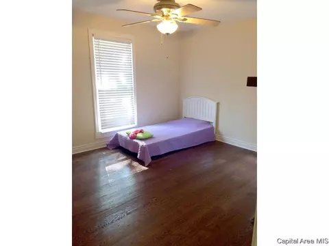 871 S Douglas, Springfield, IL 62704 photo 24