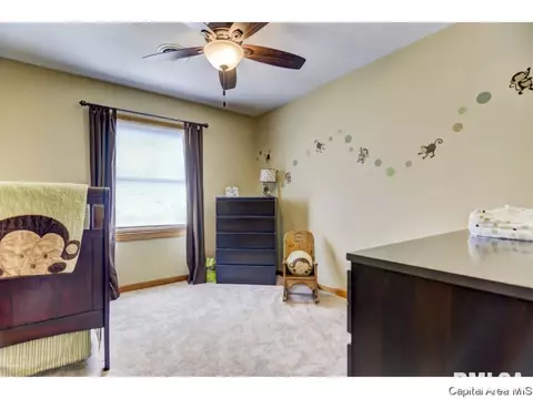 1513 James St, Springfield, IL 62703 photo 27