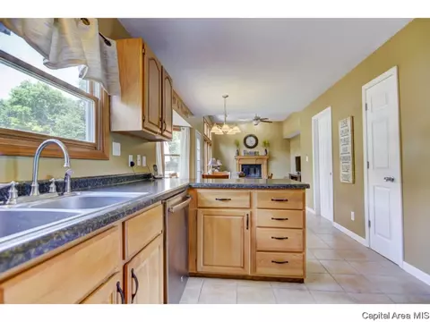 1513 James St, Springfield, IL 62703 photo 12