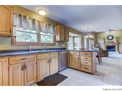 1513 James St, Springfield, IL 62703 photo 11