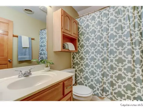 1513 James St, Springfield, IL 62703 photo 29