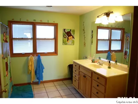 1601 Sumac Ln, Springfield, IL 62712 photo 17