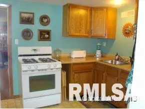 1509 Carolina, Springfield, IL 62702 photo 17