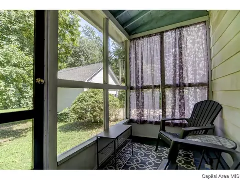 326 S Douglas Ave, Springfield, IL 62704 photo 32