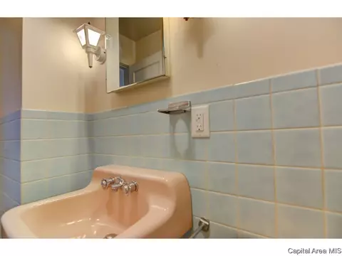 326 S Douglas Ave, Springfield, IL 62704 photo 20