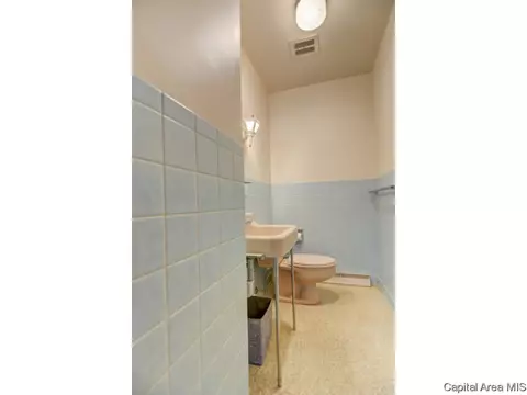 326 S Douglas Ave, Springfield, IL 62704 photo 19