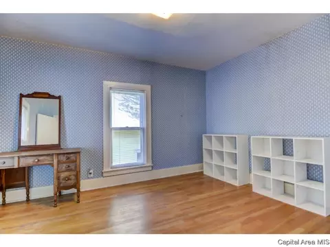 326 S Douglas Ave, Springfield, IL 62704 photo 28