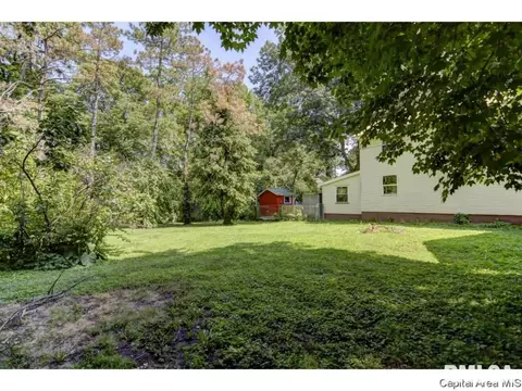 326 S Douglas Ave, Springfield, IL 62704 photo 35