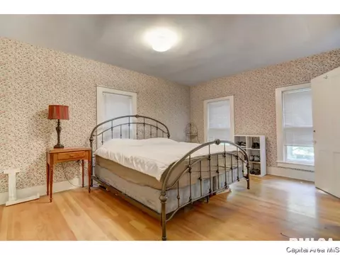 326 S Douglas Ave, Springfield, IL 62704 photo 23