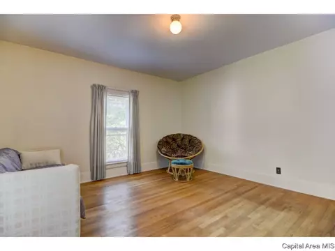 326 S Douglas Ave, Springfield, IL 62704 photo 27