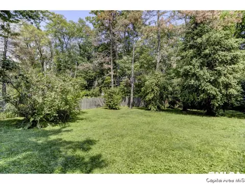 326 S Douglas Ave, Springfield, IL 62704 photo 34