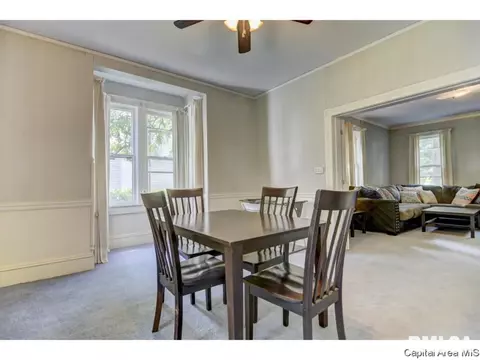 326 S Douglas Ave, Springfield, IL 62704 photo 12