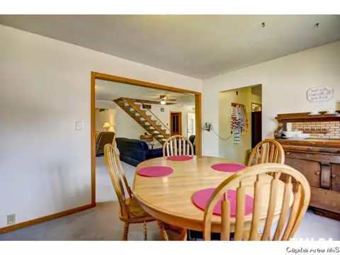 408 E Third St, Pana, IL 62557 photo 14