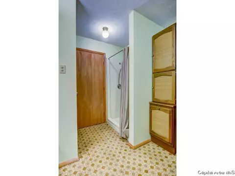 408 E Third St, Pana, IL 62557 photo 19