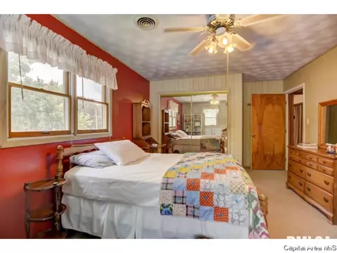 408 E Third St, Pana, IL 62557 photo 21