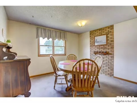 408 E Third St, Pana, IL 62557 photo 13