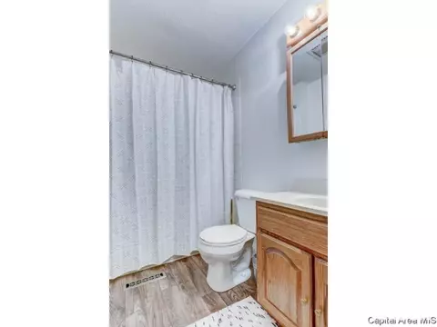 2722 E Black Ave, Springfield, IL 62702 photo 11