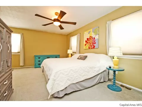 4 Archer Ave, Springfield, IL 62704 photo 13