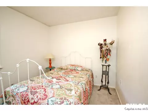 4 Archer Ave, Springfield, IL 62704 photo 24