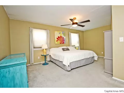 4 Archer Ave, Springfield, IL 62704 photo 15