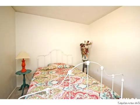 4 Archer Ave, Springfield, IL 62704 photo 21