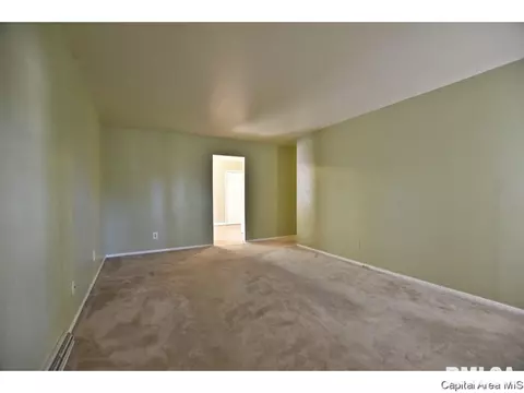 208 Stutely Ln, Springfield, IL 62704 photo 4