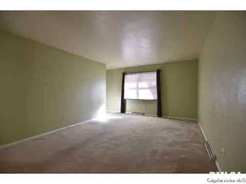 208 Stutely Ln, Springfield, IL 62704 photo 5