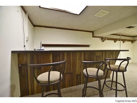 208 Stutely Ln, Springfield, IL 62704 photo 32