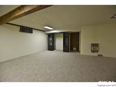 208 Stutely Ln, Springfield, IL 62704 photo 25