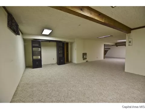 208 Stutely Ln, Springfield, IL 62704 photo 27